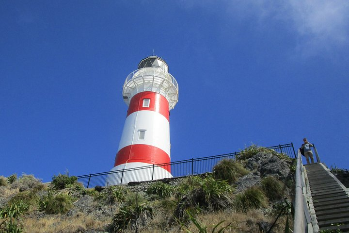 "Pinot to Palliser tour" - Guided tour to Cape Palliser vith lunch + winetasting - Photo 1 of 8